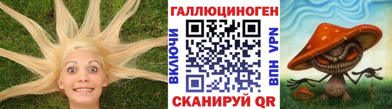 Галлюциногенные грибы Psilocybe  Купить где  Горнозаводск 
